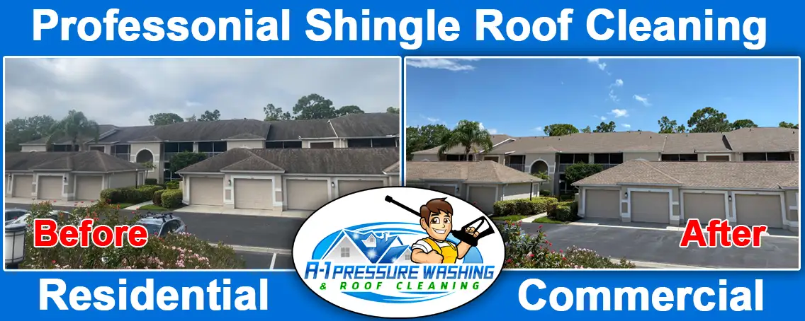 A-1 Pressure Washing & Roof Cleaning| Shingle Roof Cleaning